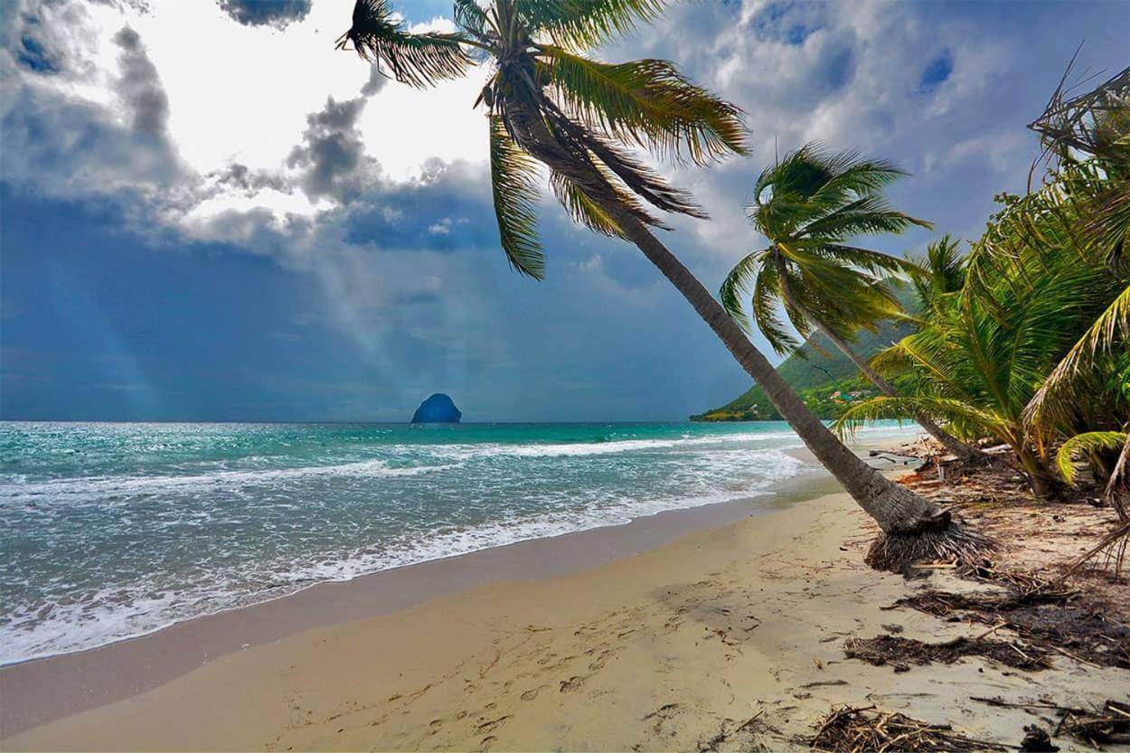 Malilia Beach A Sainte-Anne - Wifi -5 Min A Pied De La Plage Exterior photo